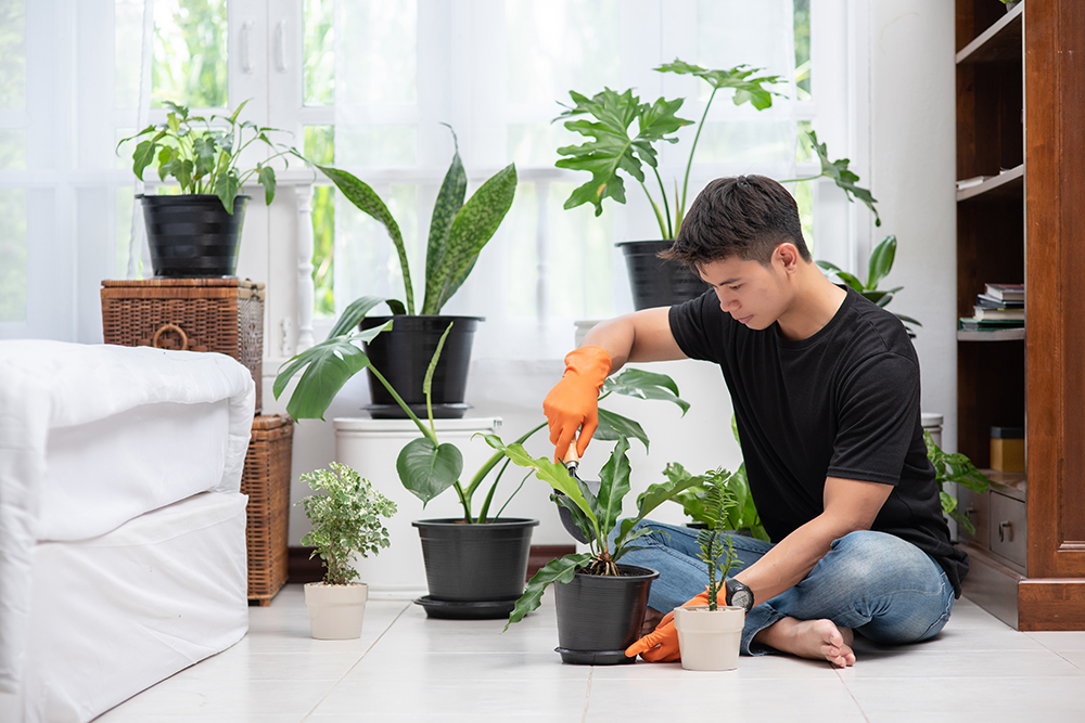Indoor Plant care Items
