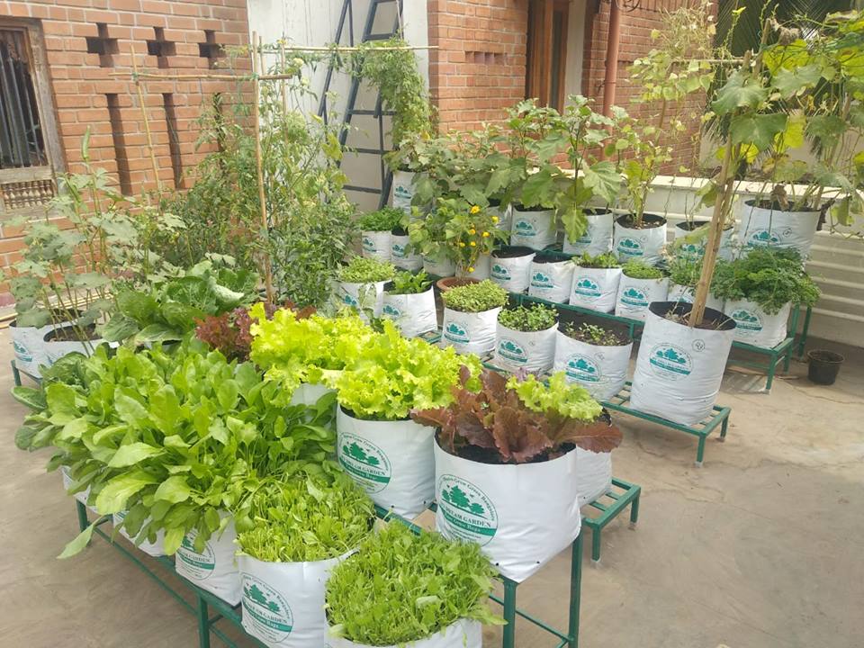 Grow Bag Gardening Tips