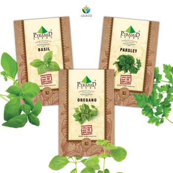 Herb seeds online Kerala