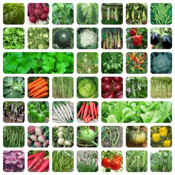 Vegetable Seeds online Kerala